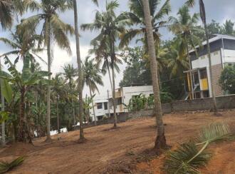Residential Land for Sale in Trivandrum, Chenkottukonam, Chenkottukonam, Chenkottukonam