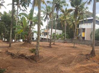 Residential Land for Sale in Trivandrum, Chenkottukonam, Chenkottukonam, Chenkottukonam