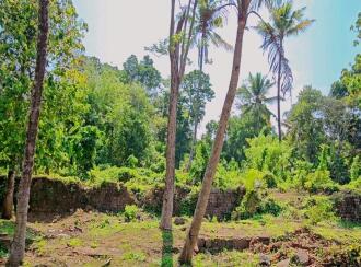 Residential Land for Sale in Alleppey, Chengannur, Puthencavu, Close to SCRV school