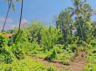 Residential Land for Sale in Alleppey, Chengannur, Puthencavu, Close to SCRV school