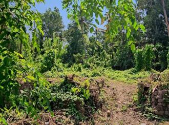 Residential Land for Sale in Alleppey, Chengannur, Puthencavu, Close to SCRV school