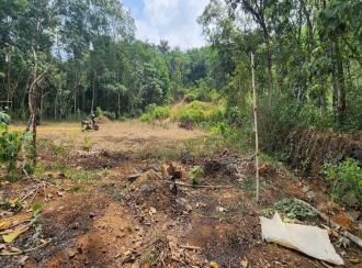 Residential Land for Sale in Kottayam, Ettumanoor, Ettumanoor, Near Koodalloor Junction