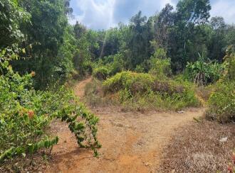 Residential Land for Sale in Kottayam, Ettumanoor, Ettumanoor, Near Koodalloor Junction