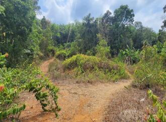 Residential Land for Sale in Kottayam, Ettumanoor, Ettumanoor, Near Koodalloor Junction