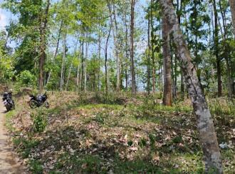 കൃഷി ഭൂമി വില്പനയ്ക്ക് എറണാകുളം, Muvattupuzha, Arakuzha