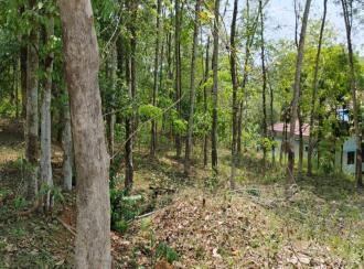 കൃഷി ഭൂമി വില്പനയ്ക്ക് എറണാകുളം, Muvattupuzha, Arakuzha