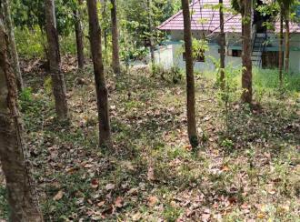 കൃഷി ഭൂമി വില്പനയ്ക്ക് എറണാകുളം, Muvattupuzha, Arakuzha