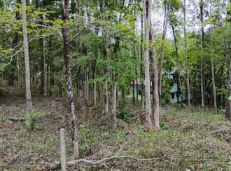 കൃഷി ഭൂമി വില്പനയ്ക്ക് എറണാകുളം, Muvattupuzha, Arakuzha