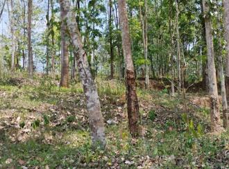 കൃഷി ഭൂമി വില്പനയ്ക്ക് എറണാകുളം, Muvattupuzha, Arakuzha