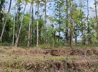 കൃഷി ഭൂമി വില്പനയ്ക്ക് എറണാകുളം, Muvattupuzha, Arakuzha