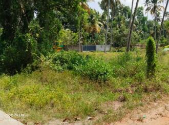 Residential Land for Sale in Alleppey, Cherthala, Arthungal, Reethalayam