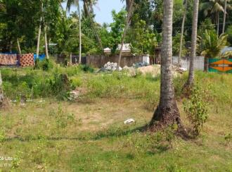 Residential Land for Sale in Alleppey, Cherthala, Arthungal, Reethalayam