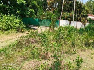 Residential Land for Sale in Alleppey, Cherthala, Arthungal, Reethalayam