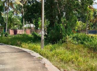 Residential Land for Sale in Alleppey, Cherthala, Arthungal, Reethalayam
