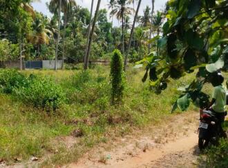 Residential Land for Sale in Alleppey, Cherthala, Arthungal, Reethalayam