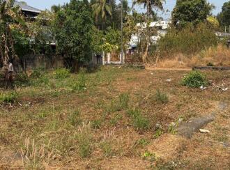 Residential Land for Sale in Thrissur, Thrissur, Peramangalam, Rose garden