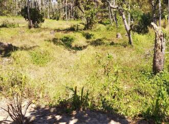 Residential Land for Sale in Thrissur, Kanjany, Kanjany, Kanjany