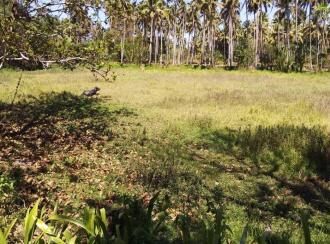 Residential Land for Sale in Thrissur, Kanjany, Kanjany, Kanjany