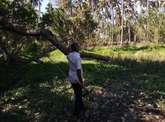 Residential Land for Sale in Thrissur, Kanjany, Kanjany, Kanjany