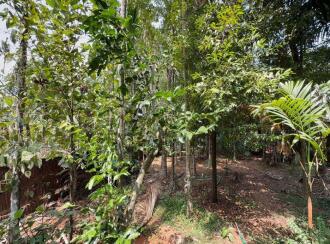 Residential Land for Sale in Thrissur, Irinjalakuda, Mapranam