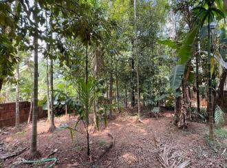 Residential Land for Sale in Thrissur, Irinjalakuda, Mapranam