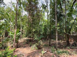 Residential Land for Sale in Thrissur, Irinjalakuda, Mapranam