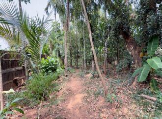 Residential Land for Sale in Thrissur, Irinjalakuda, Mapranam