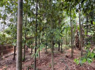 Residential Land for Sale in Thrissur, Irinjalakuda, Mapranam