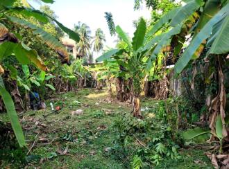 Residential Land for Sale in Ernakulam, Ernakulam town, Thevara, Perumanoor, Gurudwara Road