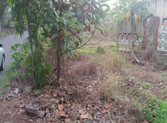 Residential Land for Sale in Kottayam, Kuravilangad, Kuravilangad, Kuravilangad ,near Depaul school