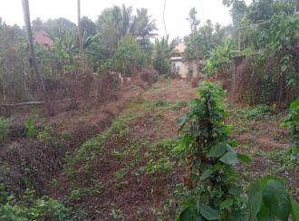 Residential Land for Sale in Kottayam, Kuravilangad, Kuravilangad, Kuravilangad ,near Depaul school