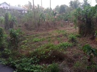 Residential Land for Sale in Kottayam, Kuravilangad, Kuravilangad, Kuravilangad ,near Depaul school