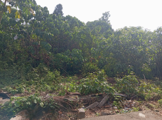 Commercial Land for Sale in Alleppey, Chengannur, Chengannur town, Thittamel Muri