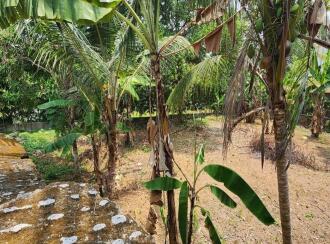 Residential Land for Sale in Kottayam, Kottayam town, Puthenangady, Puthenangady- Thazathangady road