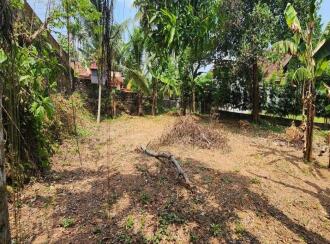 Residential Land for Sale in Kottayam, Kottayam town, Puthenangady, Puthenangady- Thazathangady road