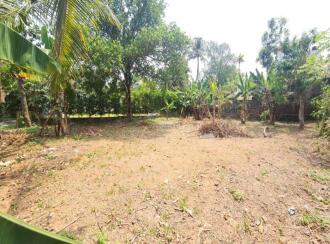 Residential Land for Sale in Kottayam, Kottayam town, Puthenangady, Puthenangady- Thazathangady road