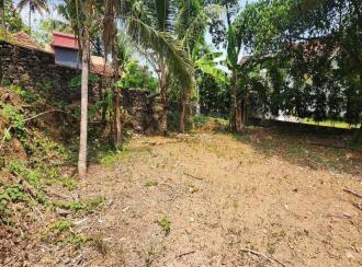 Residential Land for Sale in Kottayam, Kottayam town, Puthenangady, Puthenangady- Thazathangady road