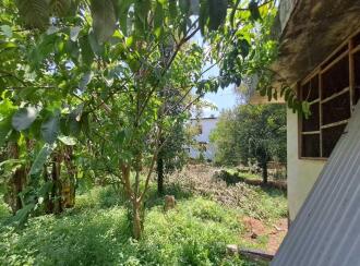 Residential House Villa for Sale in Thrissur, Chalakudy, Potta