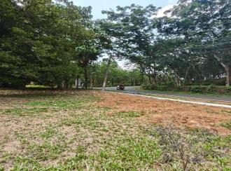 Commercial Land for SaleErnakulam, Muvattupuzha, Arakuzha