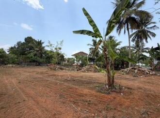 Residential Land for Sale in Pathanamthitta, Thiruvalla, Manjadi, inside mamem mathai nager manjadi