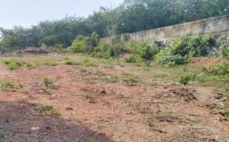 Residential Land for SaleErnakulam, Chottanikkara, Chottanikkara
