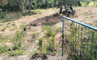 Residential Land for Sale in Ernakulam, Chottanikkara, Chottanikkara, Rajan kavala