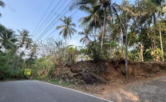 Residential Land for Sale in Kozhikode, Balussery, Nanminda, Balabodini