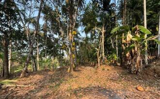 Residential Land for Sale in Kozhikode, Balussery, Nanminda, Balabodini