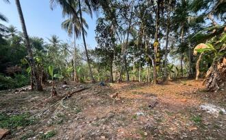Residential Land for Sale in Kozhikode, Balussery, Nanminda, Balabodini