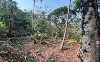 Residential Land for Sale in Kozhikode, Balussery, Nanminda, Balabodini