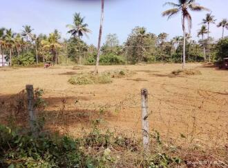 Residential Land for Sale in Thrissur, Chalakudy, Elanjipra 
