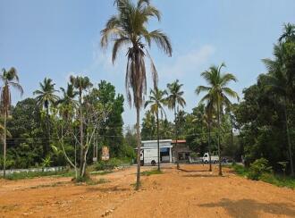 Residential Land for Sale in Thrissur, Mala, Annamanada, Annamanada town