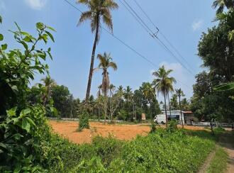 Residential Land for Sale in Thrissur, Mala, Annamanada, Annamanada town