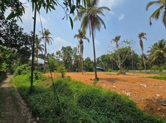 Residential Land for Sale in Thrissur, Mala, Annamanada, Annamanada town